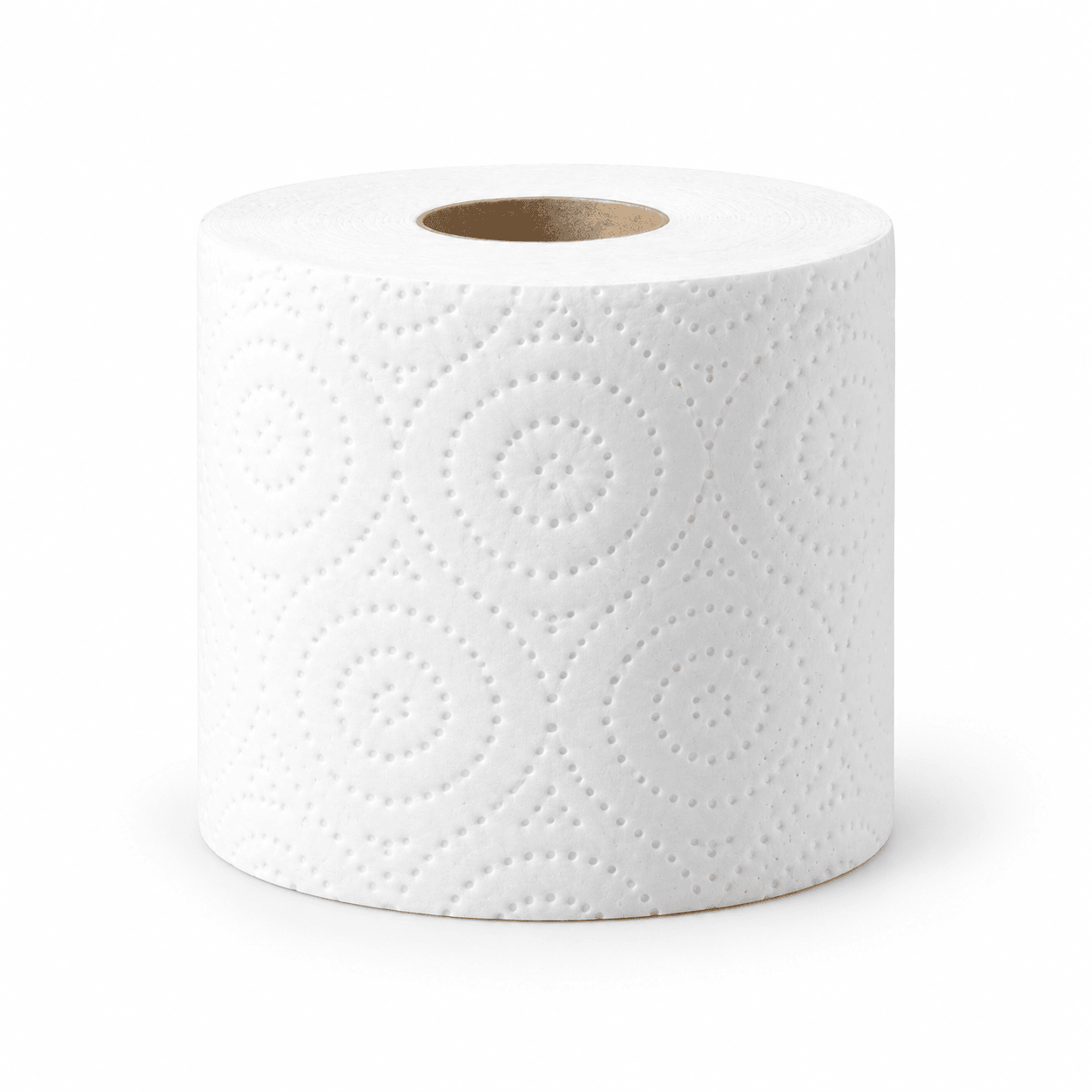 A single 2-ply embossed roll — 500 sheets